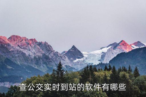 查公交實時到站的軟件有哪些