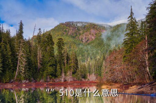 510阿里日,阿里巴巴將每年5月10日定為阿里日
