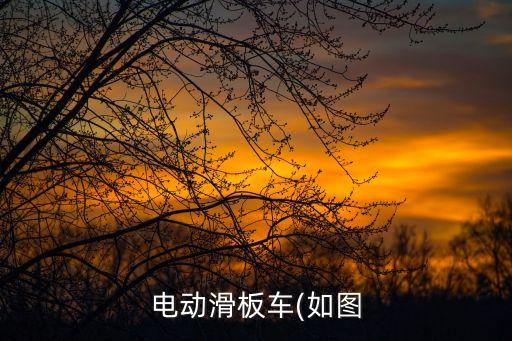電動滑板車可以上地鐵嗎,電動滑板車可以上地鐵嗎?答案是否有法律禁止