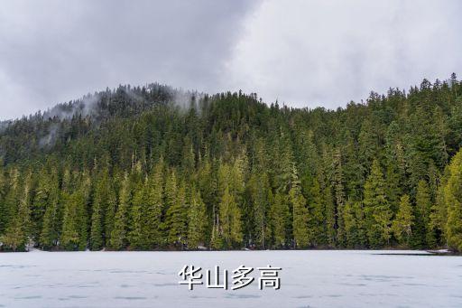 華山海拔多高,華山海拔最高多少米華山最高海拔介紹