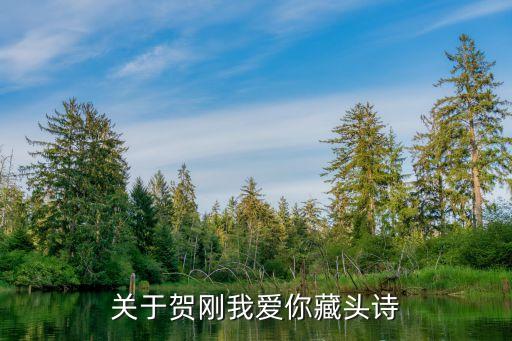 賀剛的老婆，賀剛老婆是誰