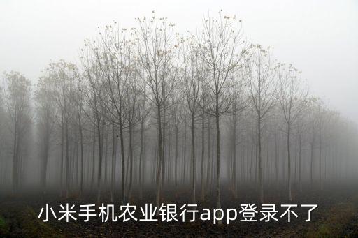 小米手機(jī)農(nóng)業(yè)銀行app登錄不了