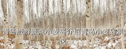 青島麥島,青島小麥島晚上開放嗎?**）晚上不開放