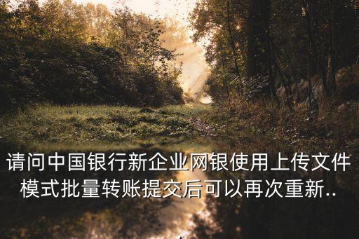 請(qǐng)問(wèn)中國(guó)銀行新企業(yè)網(wǎng)銀使用上傳文件模式批量轉(zhuǎn)賬提交后可以再次重新...