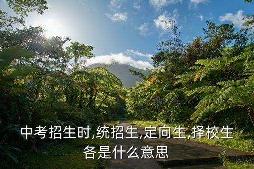 中考招生時,統招生,定向生,擇校生各是什么意思