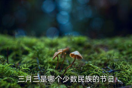 三月三節,三月三是哪里的節日?