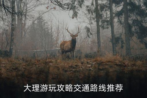大理喜洲古鎮攻略,喜洲古鎮有哪些景點?