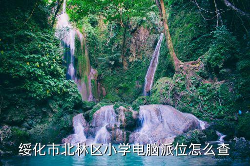 尚志小學,小學電腦派位怎么辦?