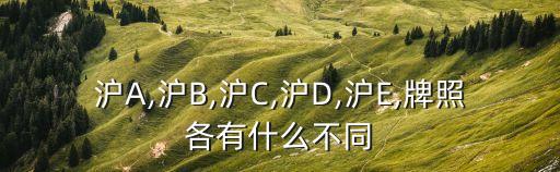 滬A,滬B,滬C,滬D,滬E,牌照各有什么不同