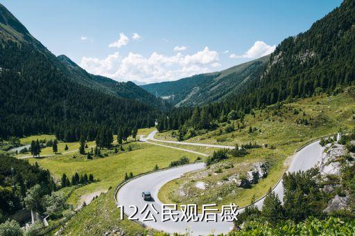 12公民觀后感，根據電影十二公民談談你對法律的認識