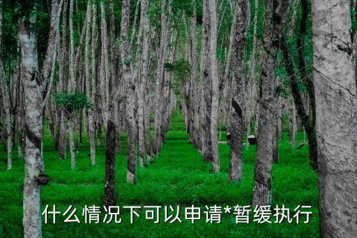 暫緩執(zhí)行，什么情況下可以申請*暫緩執(zhí)行