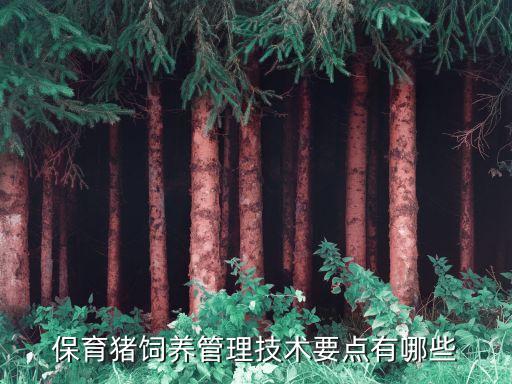 保育豬，保育豬是什么意思