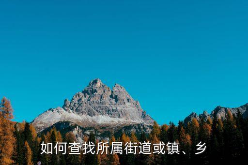 街道查詢,天津所屬街道社區怎么查?