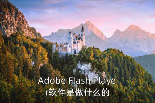 Adobe Flash Player軟件是做什么的