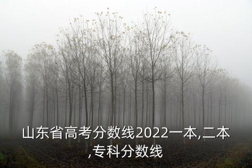 2022山東高考,2022年山東高考人數(shù)79.5萬(wàn)人