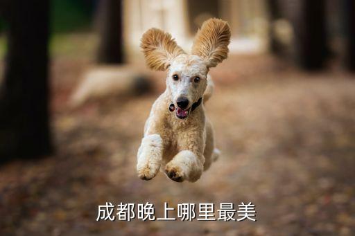 成都夜景,成都夜景最美的地方在哪里?