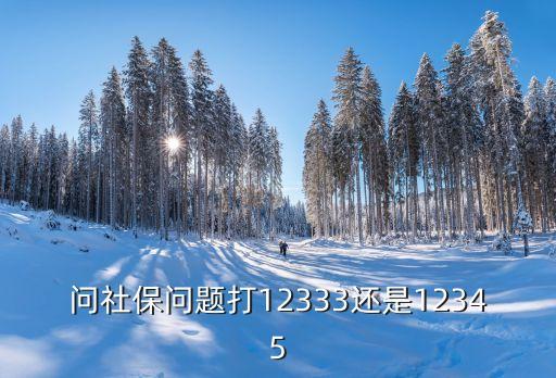問社保問題打12333還是12345