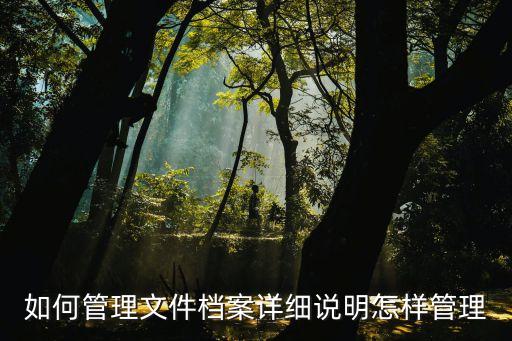 如何管理文件檔案詳細說明怎樣管理