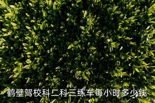 鶴壁駕校科二科三練車每小時多少錢