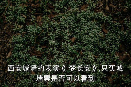 西安城墻的表演《 夢長安》,只買城墻票是否可以看到