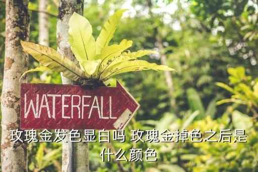 玫瑰金發色，玫瑰金怎么染啊 頭發已經怎么樣了 玫瑰金的染發膏弄上去也沒反應