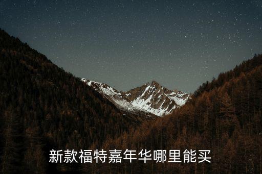 嘉年華店,新款福特嘉年華哪里能買到?