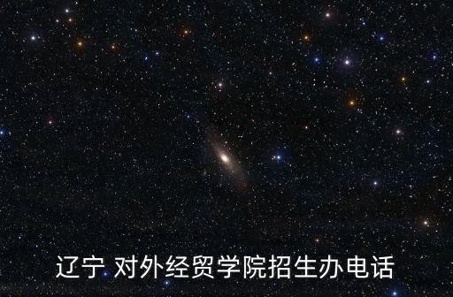 遼寧 對外經貿學院招生辦電話