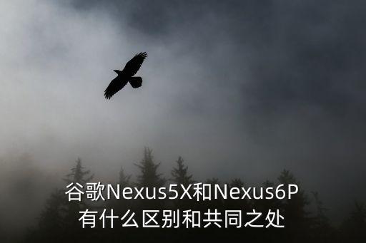 谷歌Nexus5X和Nexus6P有什么區(qū)別和共同之處