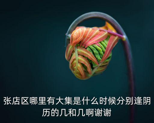 張店區哪里有大集是什么時候分別逢陰歷的幾和幾啊謝謝