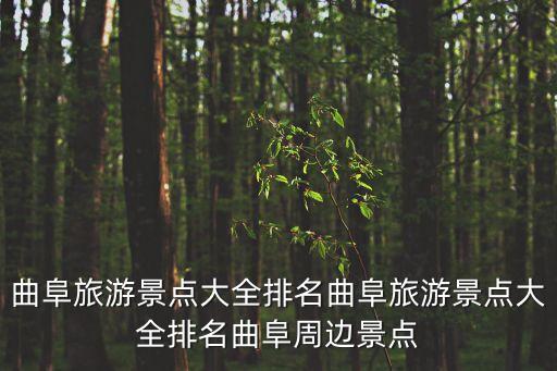 曲阜六藝城,從鄒城到孔子六藝城