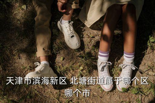 天津市濱海新區 北塘街道屬于哪個區哪個市