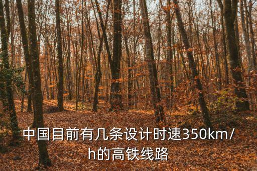 昌贛高鐵,最紅高鐵指的是昌贛高鐵嗎?