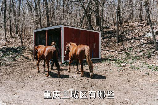 城口中學,山東省第二批示范性高中學校名單出爐