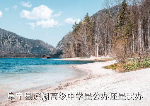 濱湖中學,兩所中學的綜合評價