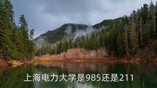 上海電建,上海電力大學哪些專業排名第199名?