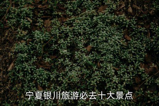 寧夏銀川旅游必去十大景點(diǎn)