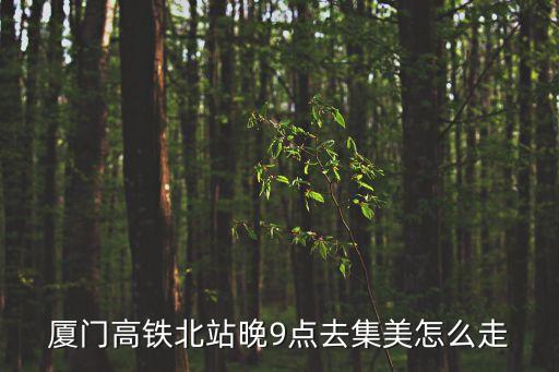 廈門高鐵北站晚9點去集美怎么走