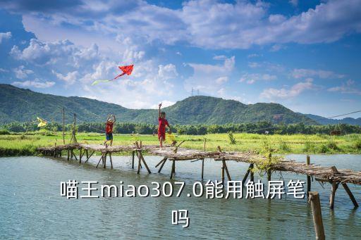 喵王,華為喵王怎么用?