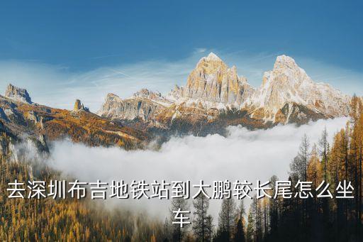 布吉站,從深圳布吉地鐵站到大鵬較長尾有何不同?