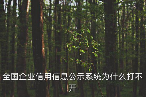 全國(guó)企業(yè)信用信息公示系統(tǒng)為什么打不開