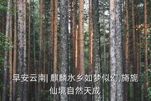 麒麟水鄉,麒麟水鄉環境問題逐個看