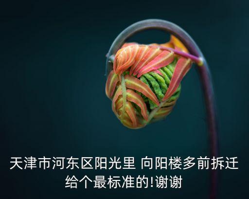 向陽樓,天津市陽光里朝陽樓多前拆遷給個最標準的謝謝向陽樓附近第一次改造
