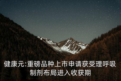 健康元:重磅品種上市申請獲受理呼吸制劑布局進入收獲期