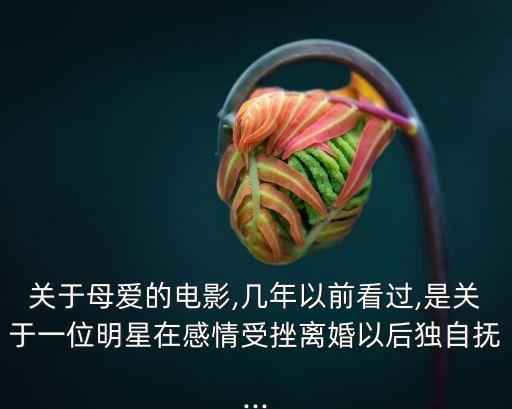 關于母愛的電影,幾年以前看過,是關于一位明星在感情受挫離婚以后獨自撫...