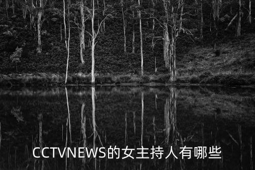 田薇主持人,中國(guó)國(guó)際頻道女主持人名字公布
