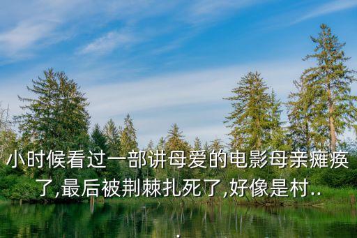 小時候看過一部講母愛的電影母親癱瘓了,最后被荊棘扎死了,好像是村...