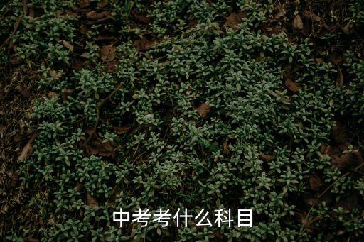 中考考什么科目