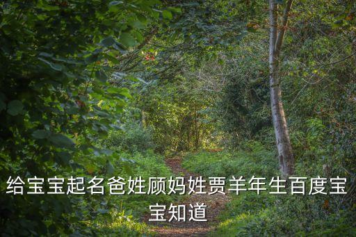 顧崢,起名叫做賈羊年生寶寶知道了嗎?