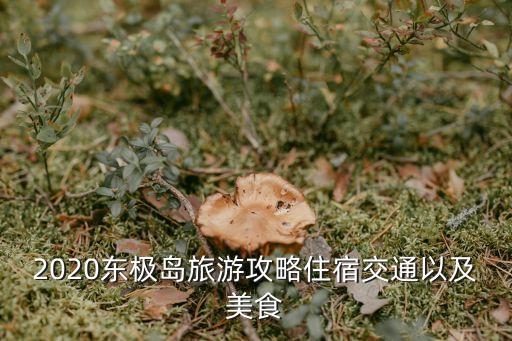 舟山東極島旅游攻略,東極島最新攻略