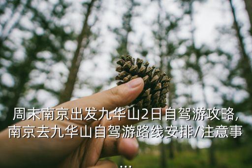 南京二日游攻略,南京兩日游攻略